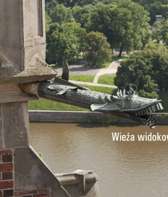 Wieża widokowa na Katedrze